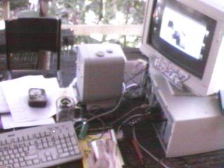 mirpazoid on the table out the back of the Nimbin Hemp Embassy 21 Jan Y2K ;O)--~