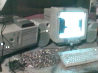 Mirpazoid on the desk in the Tin Shed, Jan 1 Y2K.