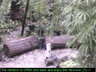 Click any pic to go back to the Peace Camp ;O)--~