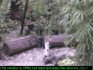 Click any pic to go back to the Peace Camp ;O)--~