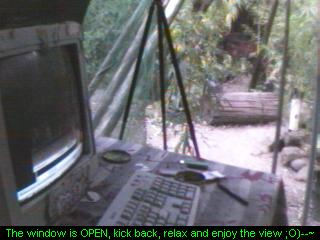 Click any pic to go back to the Peace Camp ;O)--~