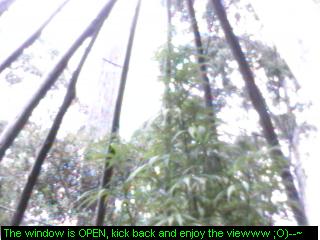 Click any pic to go back to the Peace Camp ;O)--~