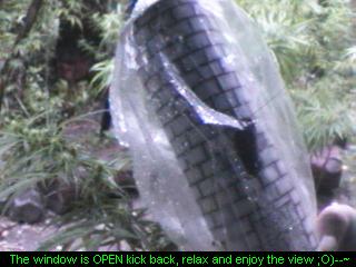 Click any pic to go back to the Peace Camp ;O)--~