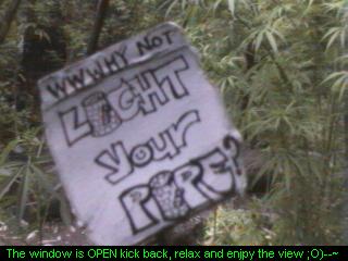 Click any pic to go back to the Peace Camp ;O)--~