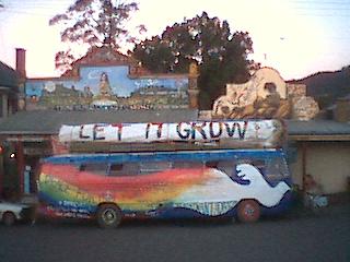 To the cannabus  ;O)--~
