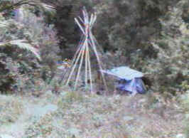 tarps17nov99.jpg (17403 bytes)